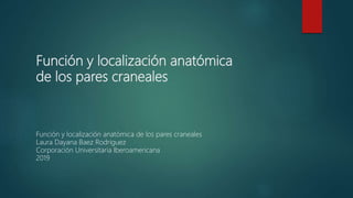 Función y localización anatómica
de los pares craneales
Función y localización anatómica de los pares craneales
Laura Dayana Baez Rodriguez
Corporación Universitaria Iberoamericana
2019
 