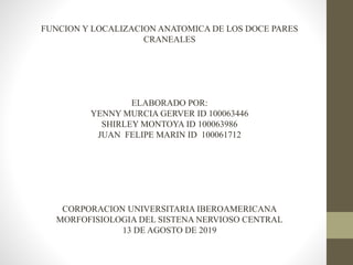 FUNCION Y LOCALIZACION ANATOMICA DE LOS DOCE PARES
CRANEALES
ELABORADO POR:
YENNY MURCIA GERVER ID 100063446
SHIRLEY MONTOYA ID 100063986
JUAN FELIPE MARIN ID 100061712
CORPORACION UNIVERSITARIA IBEROAMERICANA
MORFOFISIOLOGIA DEL SISTENA NERVIOSO CENTRAL
13 DE AGOSTO DE 2019
 