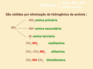 Imino -NH2 -NH-
                       Amina:         sufixo amina

São obtidas por eliminação de hidrogênios da amônia :
              -NH2 amina primária

   NH3        -NH- amina secundária

              -N- amina terciária

             CH3-NH2        metilamina

             CH3- CH2-NH2     etilamina

             CH3-NH-CH3 dimetilamina
 