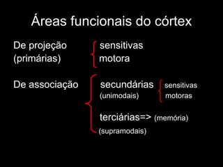 Áreas funcionais do córtex
De projeção sensitivas
(primárias) motora
De associação secundárias sensitivas
(unimodais) motoras
terciárias=> (memória)
(supramodais)
 