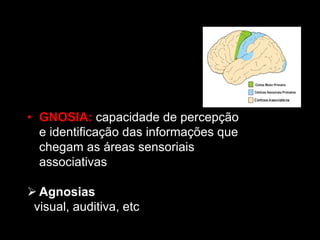 • GNOSIA: capacidade de percepção
e identificação das informações que
chegam as áreas sensoriais
associativas
Ø Agnosias
visual, auditiva, etc
 