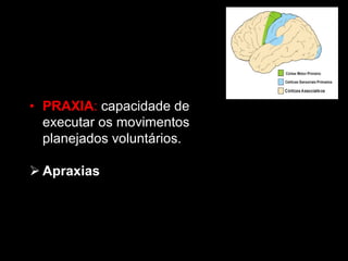 • PRAXIA: capacidade de
executar os movimentos
planejados voluntários.
Ø Apraxias
 