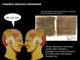 FUNÇÔES CORTICAIS SUPERIORES
A escrita é apenas uma das expressões cognitivas
mais complexas do ser humano.
Blá, blá, blá?
Pensar, Raciocinar, memorizar,
compor, falar, entender a
linguagem ou a música, escrever,
ler, cantar, tocar instrumentos
musicais, etc
 