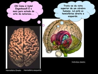 Individuo destro
Oh! Como é lindo!
Engenhoso!!! É o
mais puro estado de
arte da natureza...
Hemisfério esquerdoHemisfério Direito
Trata-se da vista
superior de um cérebro
humano. Lá está os
hemisférios direito e
esquerdo.
 