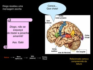 Diogo, não se
esqueça
de trazer a picanha
amanhã!
Ass. Gabi
Na véspera do churrasco
Diogo recebeu uma
mensagem escrita
Caraca...
Que chata!
Retina Nevo
óptico (II)
NGL
(tálamo)
Córtex
Visual Relacionado coma a
compreensão da
leitura
 