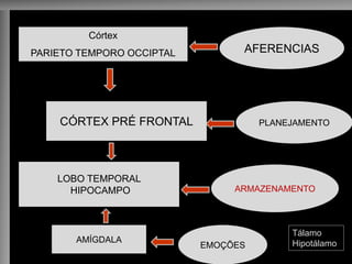 Córtex
PARIETO TEMPORO OCCIPTAL AFERENCIAS
PLANEJAMENTOCÓRTEX PRÉ FRONTAL
ARMAZENAMENTO
LOBO TEMPORAL
HIPOCAMPO
EMOÇÕES
AMÍGDALA
Tálamo
Hipotálamo
 