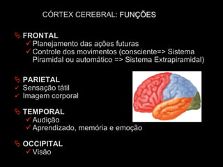 Ä FRONTAL
ü Planejamento das ações futuras
ü Controle dos movimentos (consciente=> Sistema
Piramidal ou automático => Sistema Extrapiramidal)
Ä PARIETAL
ü Sensação tátil
ü Imagem corporal
Ä TEMPORAL
ü Audição
ü Aprendizado, memória e emoção
Ä OCCIPITAL
ü Visão
CÓRTEX CEREBRAL: FUNÇÕES
 