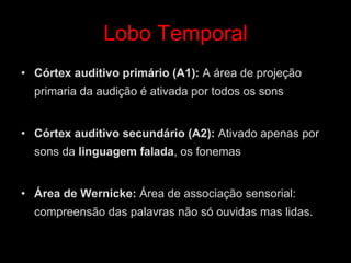 Lobo Temporal
• Córtex auditivo primário (A1): A área de projeção
primaria da audição é ativada por todos os sons
• Córtex auditivo secundário (A2): Ativado apenas por
sons da linguagem falada, os fonemas
• Área de Wernicke: Área de associação sensorial:
compreensão das palavras não só ouvidas mas lidas.
 