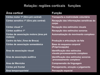 Relação: regiões corticais funções
Área cortical Função
Córtex motor 1º (Giro pré central) Transporta a motricidade voluntária
Córtex sensitivo 1º (Giro pós central) Recepção das informações sensitivas do
corpo
Córtex visual 1º Recepção dos estímulos visuais
Córtex auditivo 1º Recepção dos estímulos sonoros
Córtex de associação motora (área pré
motora)
Automatização do movimento complexo
Centro da fala ( Área de Broca) Produção e articulação da fala
Córtex de associação somestésica Base do esquema corporal
(Própriocepção)
Área de associação visual Identificação dos estímulos
visuais:processamento complexo
Área de associação auditiva Identificação dos estímulos sonoros
¨processamento complexo¨
Área de Wernicke Compreensão da linguagem
Córtex pré frontal Planejamento, emoção e julgamento
Área temporoparietal Percepção espacial
 
