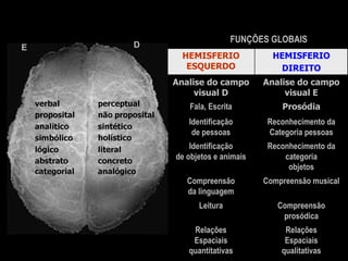 FUNÇÕES ESPECIFICASFUNÇÕES GLOBAIS
HEMISFERIO
ESQUERDO
HEMISFERIO
DIREITO
Analise do campo
visual D
Analise do campo
visual E
Fala, Escrita Prosódia
Identificação
de pessoas
Reconhecimento da
Categoria pessoas
Identificação
de objetos e animais
Reconhecimento da
categoria
objetos
Compreensão
da linguagem
Compreensão musical
Leitura Compreensão
prosódica
Relações
Espaciais
quantitativas
Relações
Espaciais
qualitativas
E D
 