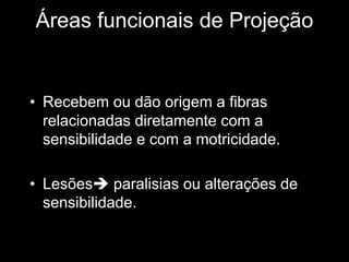 Áreas funcionais de Projeção
• Recebem ou dão origem a fibras
relacionadas diretamente com a
sensibilidade e com a motricidade.
• Lesõesè paralisias ou alterações de
sensibilidade.
 