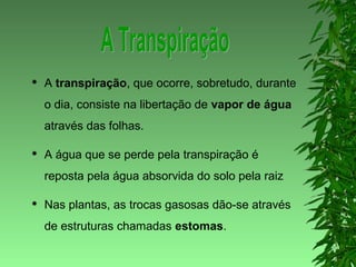  A transpiração, que ocorre, sobretudo, durante
o dia, consiste na libertação de vapor de água
através das folhas.
 A água que se perde pela transpiração é
reposta pela água absorvida do solo pela raiz
 Nas plantas, as trocas gasosas dão-se através
de estruturas chamadas estomas.
 