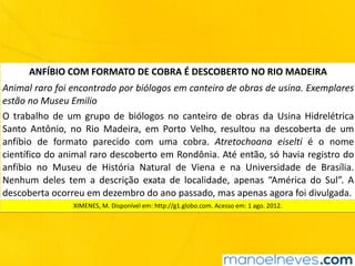 ANFÍBIO	COM	FORMATO	DE	COBRA	É	DESCOBERTO	NO	RIO	MADEIRA
Animal	raro	foi	encontrado	por	biólogos	em	canteiro	de	obras	de	usina.	Exemplares	
estão	no	Museu	Emilio	
O	 trabalho	 de	 um	 grupo	 de	 biólogos	 no	 canteiro	 de	 obras	 da	 Usina	 Hidrelétrica	
Santo	 Antônio,	 no	 Rio	 Madeira,	 em	 Porto	 Velho,	 resultou	 na	 descoberta	 de	 um	
anfíbio	 de	 formato	 parecido	 com	 uma	 cobra.	 Atretochoana	 eiselti	 é	 o	 nome	
científico	do	animal	raro	descoberto	em	Rondônia.	Até	então,	só	havia	registro	do	
anfíbio	 no	 Museu	 de	 História	 Natural	 de	 Viena	 e	 na	 Universidade	 de	 Brasília.	
Nenhum	 deles	 tem	 a	 descrição	 exata	 de	 localidade,	 apenas	 “América	 do	 Sul”.	 A	
descoberta	ocorreu	em	dezembro	do	ano	passado,	mas	apenas	agora	foi	divulgada.	
XIMENES,	M.	Disponível	em:	http://g1.globo.com.	Acesso	em:	1	ago.	2012.	
 