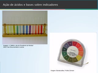 Imagem: V. Belkhir, site de l'Académie de Nantes/
GNU Free Documentation License
Imagem: Bordercolliez / Public Domain
 