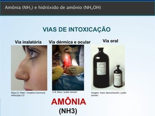 VIAS DE INTOXICAÇÃO
AMÔNIA
(NH3)
Klaus D. Peter / Creative Commons
Atribuição 2.0
Via inalatória Via dérmica e ocular Via oral
Imagem: Autor desconhecido / public
domain
U.S. Navy / public domain
 