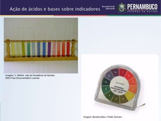 Imagem: V. Belkhir, site de l'Académie de Nantes/
GNU Free Documentation License
Imagem: Bordercolliez / Public Domain
 