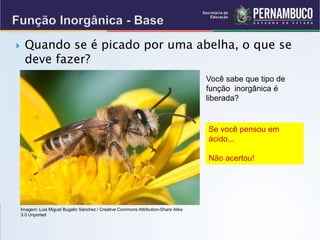  Quando se é picado por uma abelha, o que se
deve fazer?
Você sabe que tipo de
função inorgânica é
liberada?
Se você pensou em
ácido...
Não acertou!
Imagem: Luis Miguel Bugallo Sánchez / Creative Commons Attribution-Share Alike
3.0 Unported
 