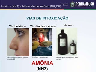 VIAS DE INTOXICAÇÃO
AMÔNIA
(NH3)
Klaus D. Peter / Creative Commons
Atribuição 2.0
Via inalatória Via dérmica e ocular Via oral
Imagem: Autor desconhecido / public
domain
U.S. Navy / public domain
 