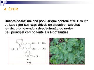 4. ÉTER


Quebra-pedra: um chá popular que contém éter. É muito
utilizado por sua capacidade de dissolver cálculos
renais, promovendo a desobstrução do ureter.
Seu principal componente é a hipofilantina.
 