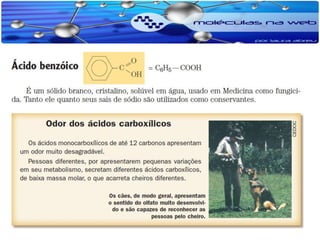 Funcoes organicas oxigenadas 2