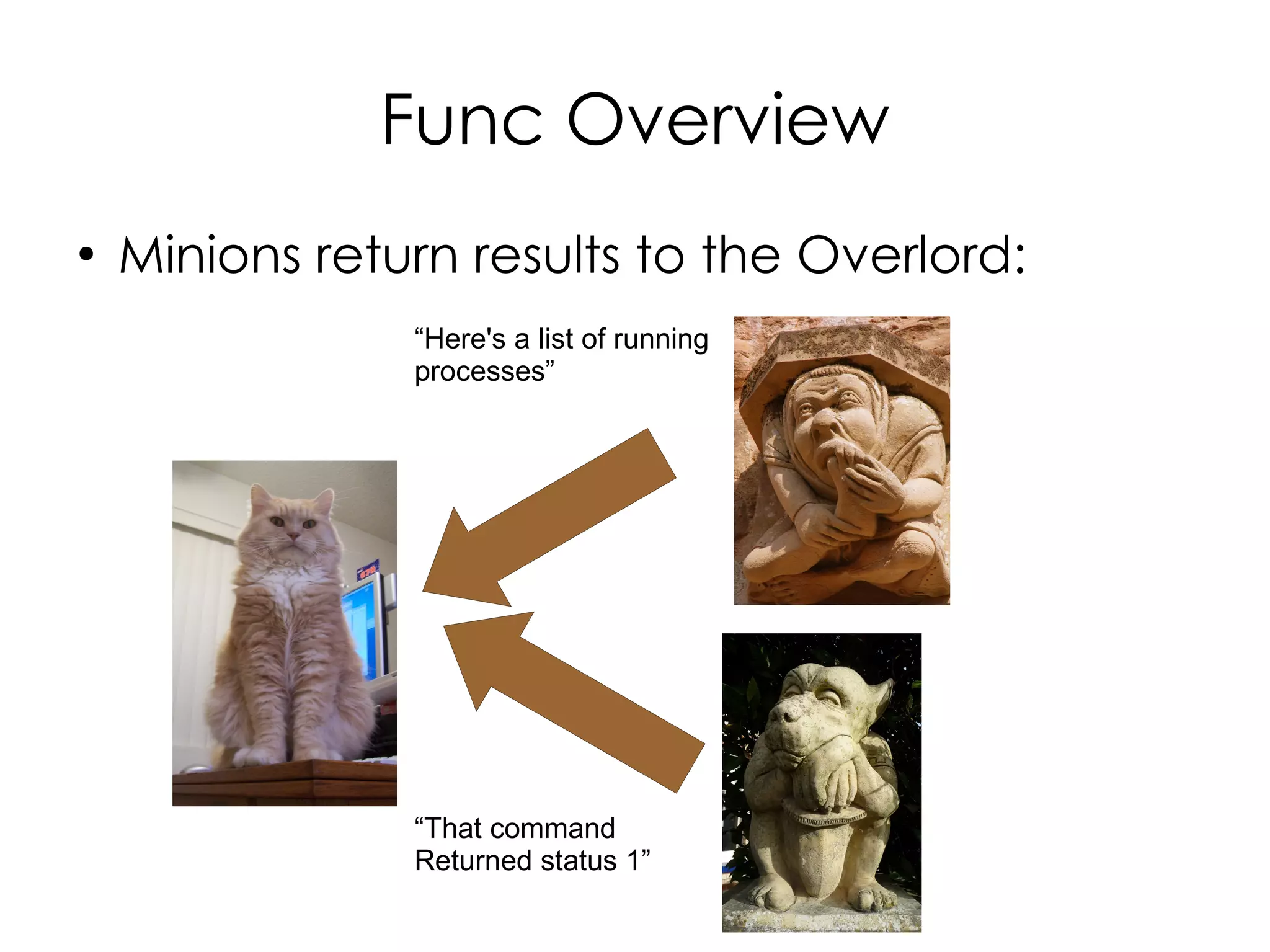 Func Overview
●
    Minions return results to the Overlord:
                “Here's a list of running
                processes”




                “That command
                Returned status 1”
 