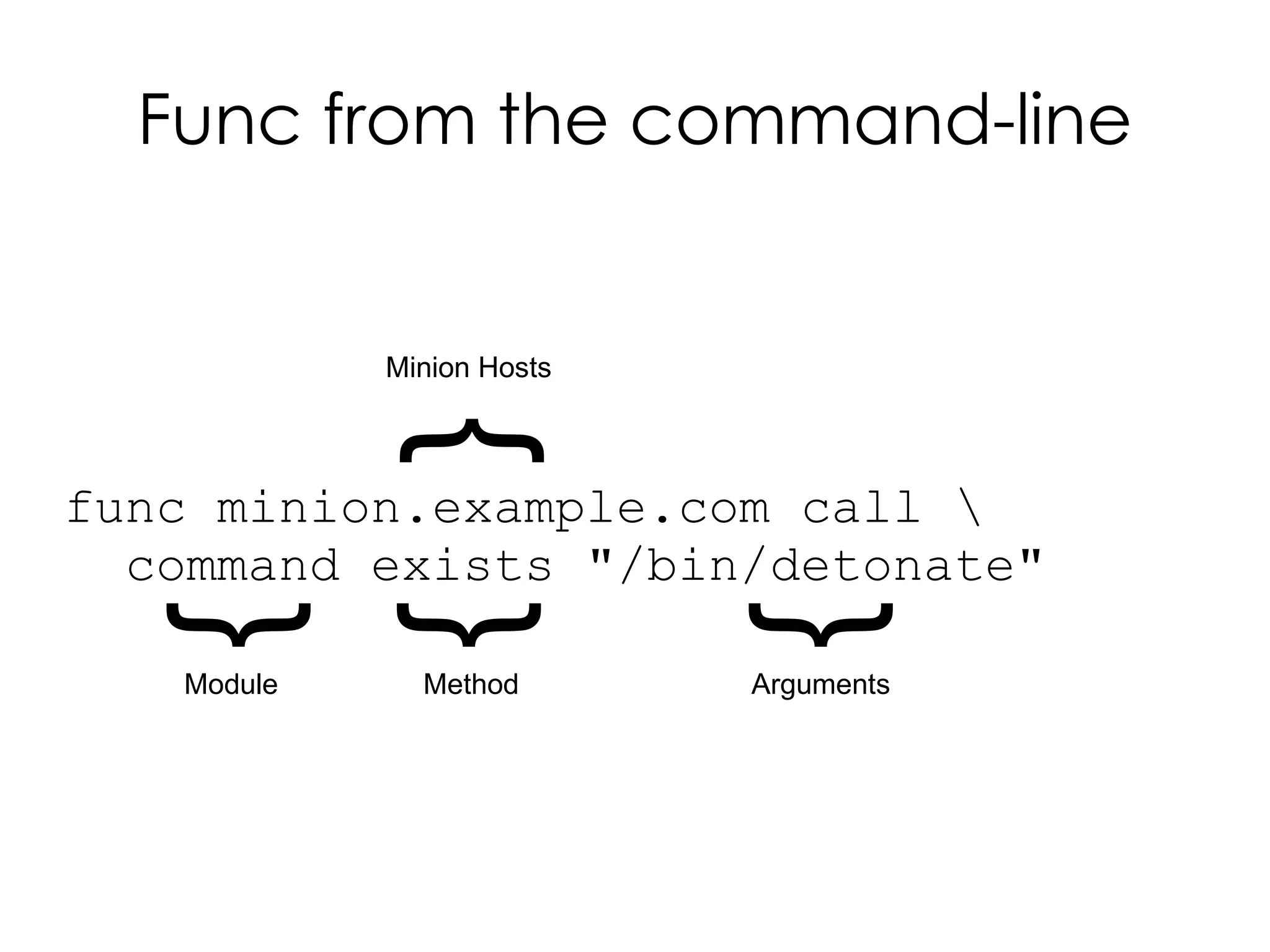 Func from the command-line


            Minion Hosts
             {
func minion.example.com call 
  command exists "/bin/detonate"
  {
  {

                           {
   Module     Method       Arguments
 