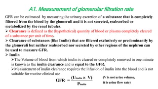 GFR can be estimated by measuring the urinary excretion of a substance that is completely
filtered from the blood by the glomeruli and it is not secreted, reabsorbed or
metabolized by the renal tubules.
 Clearance is defined as the (hypothetical) quantity of blood or plasma completely cleared
of a substance per unit of time.
 Clearance of substances (like Inulin) that are filtered exclusively or predominantly by
the glomeruli but neither reabsorbed nor secreted by other regions of the nephron can
be used to measure GFR.
 Inulin
The Volume of blood from which inulin is cleared or completely removed in one minute
is known as the inulin clearance and is equal to the GFR.
Measurement of inulin clearance requires the infusion of inulin into the blood and is not
suitable for routine clinical use
A1. Measurement of glomerular filtration rate
GFR =
(U V)
P
inulin
inulin
 (V is not urine volume,
it is urine flow rate)
 
