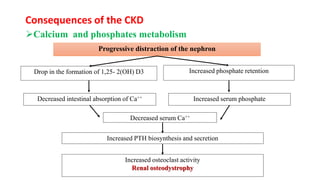 Drop in the formation of 1,25- 2(OH) D3
Progressive distraction of the nephron
Increased phosphate retention
Decreased serum Ca++
Decreased intestinal absorption of Ca++ Increased serum phosphate
Increased PTH biosynthesis and secretion
Calcium and phosphates metabolism
Consequences of the CKD
Increased osteoclast activity
Renal osteodystrophy
 