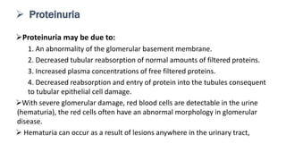 Proteinuria may be due to:
1. An abnormality of the glomerular basement membrane.
2. Decreased tubular reabsorption of normal amounts of filtered proteins.
3. Increased plasma concentrations of free filtered proteins.
4. Decreased reabsorption and entry of protein into the tubules consequent
to tubular epithelial cell damage.
With severe glomerular damage, red blood cells are detectable in the urine
(hematuria), the red cells often have an abnormal morphology in glomerular
disease.
 Hematuria can occur as a result of lesions anywhere in the urinary tract,
 Proteinuria
 