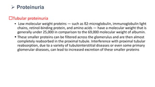 Tubular proteinuria
 Low molecular weight proteins — such as ß2-microglobulin, immunoglobulin light
chains, retinol-binding protein, and amino acids — have a molecular weight that is
generally under 25,000 in comparison to the 69,000 molecular weight of albumin.
 These smaller proteins can be filtered across the glomerulus and are then almost
completely reabsorbed in the proximal tubule. Interference with proximal tubular
reabsorption, due to a variety of tubulointerstitial diseases or even some primary
glomerular diseases, can lead to increased excretion of these smaller proteins
 Proteinuria
 