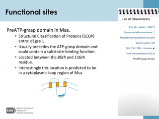 Protein function prediction | PDF