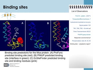 Protein function prediction | PDF