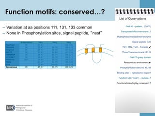 Protein function prediction | PDF