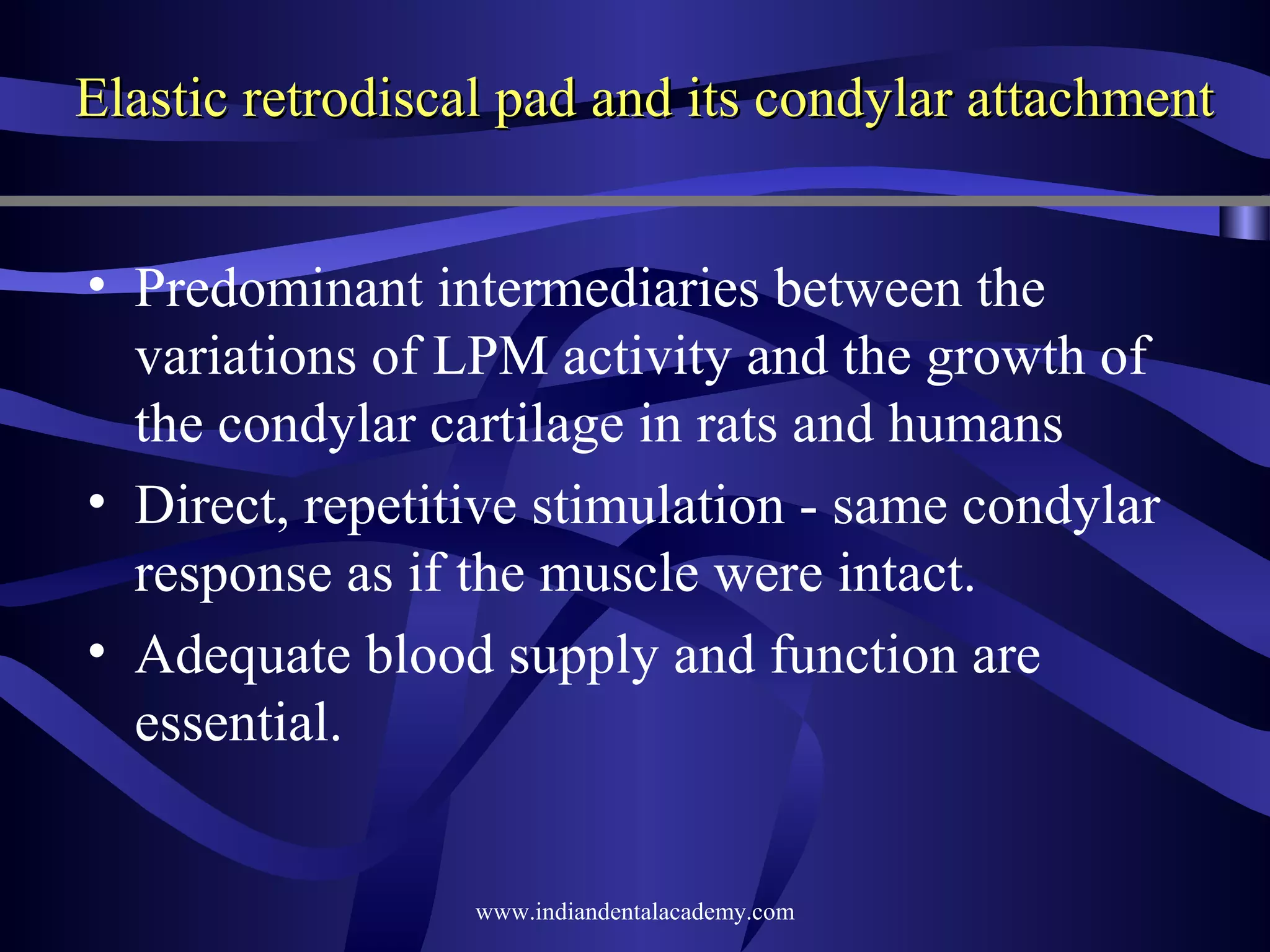 Elastic retrodiscal pad and its condylar attachment
• Predominant intermediaries between the
variations of LPM activity and the growth of
the condylar cartilage in rats and humans
• Direct, repetitive stimulation - same condylar
response as if the muscle were intact.
• Adequate blood supply and function are
essential.

www.indiandentalacademy.com

 
