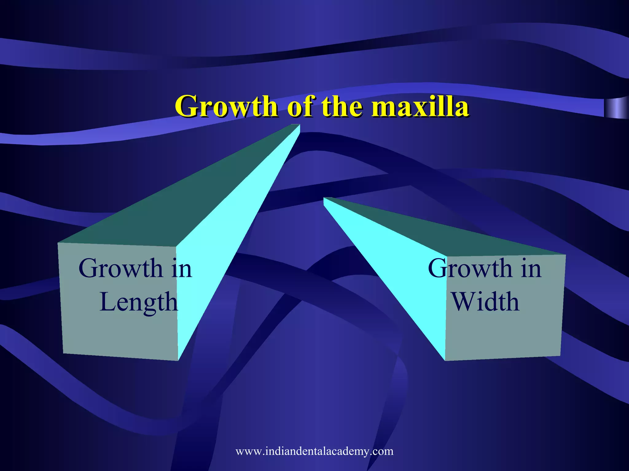 Growth of the maxilla

Growth in
Length

Growth in
Width

www.indiandentalacademy.com

 