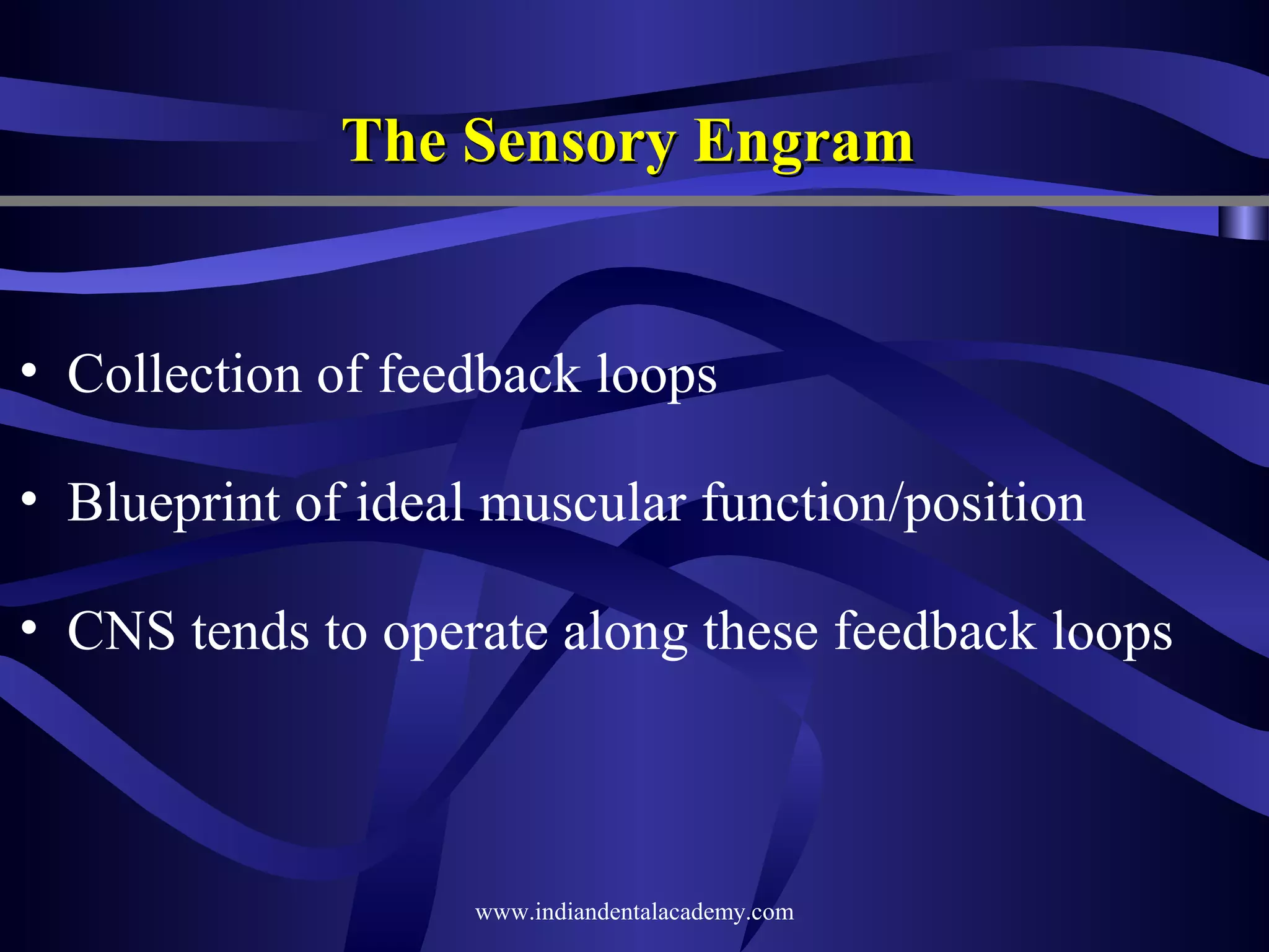 The Sensory Engram

• Collection of feedback loops
• Blueprint of ideal muscular function/position
• CNS tends to operate along these feedback loops

www.indiandentalacademy.com

 