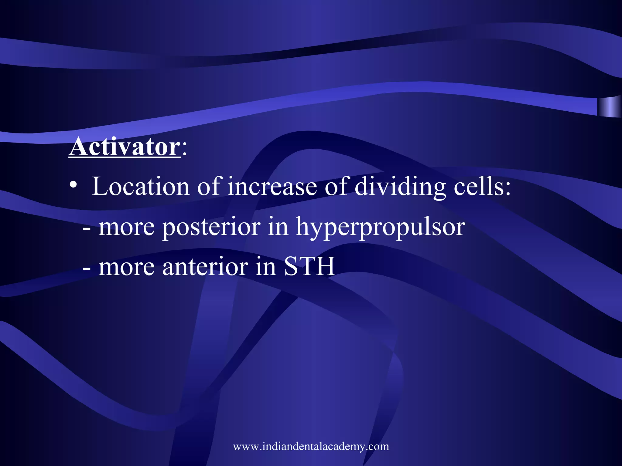 Activator:
• Location of increase of dividing cells:
- more posterior in hyperpropulsor
- more anterior in STH

www.indiandentalacademy.com

 