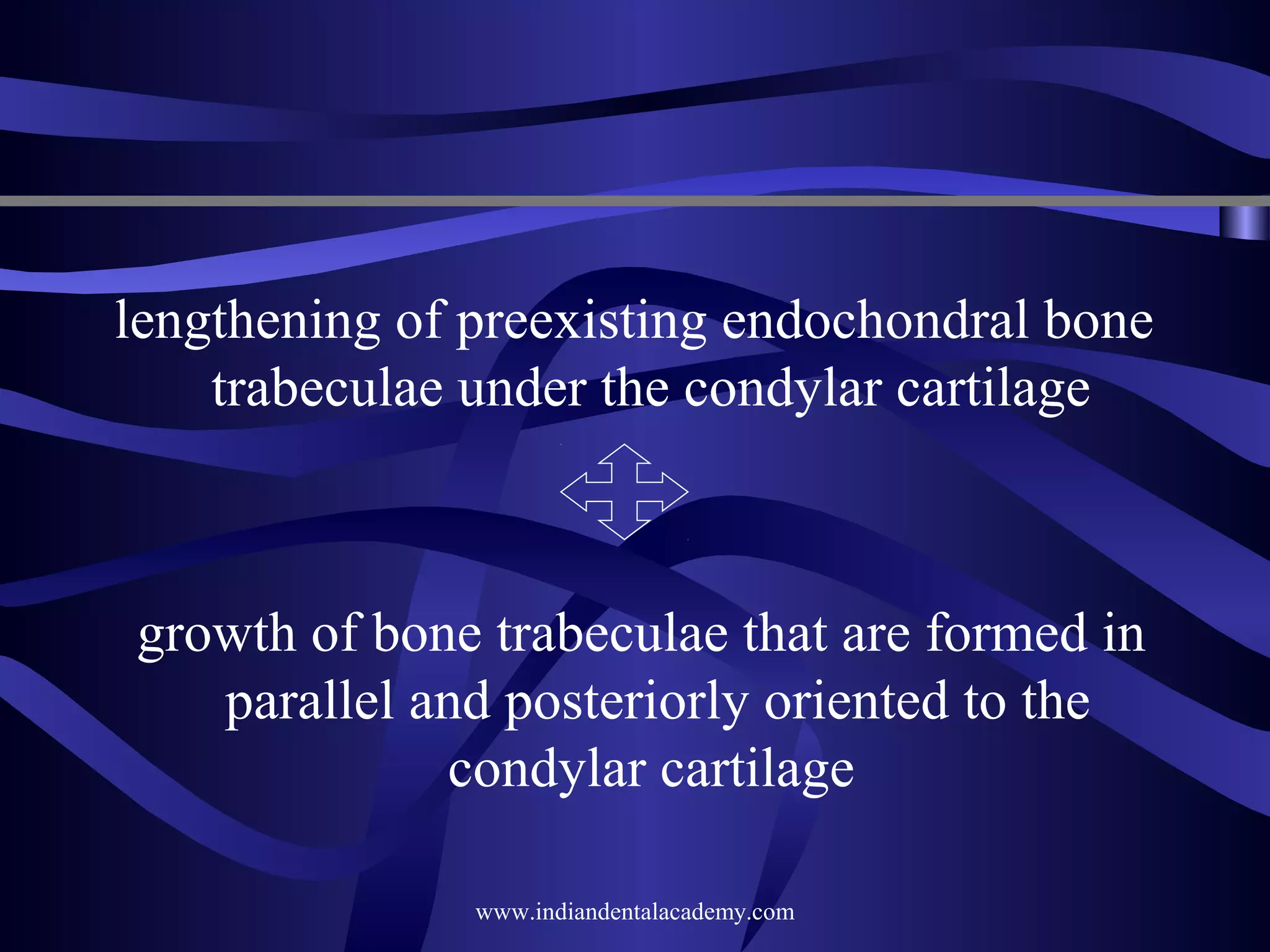 lengthening of preexisting endochondral bone
trabeculae under the condylar cartilage

growth of bone trabeculae that are formed in
parallel and posteriorly oriented to the
condylar cartilage
www.indiandentalacademy.com

 