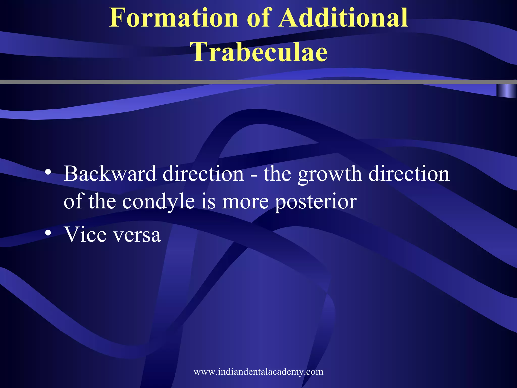 Formation of Additional
Trabeculae

• Backward direction - the growth direction
of the condyle is more posterior
• Vice versa

www.indiandentalacademy.com

 