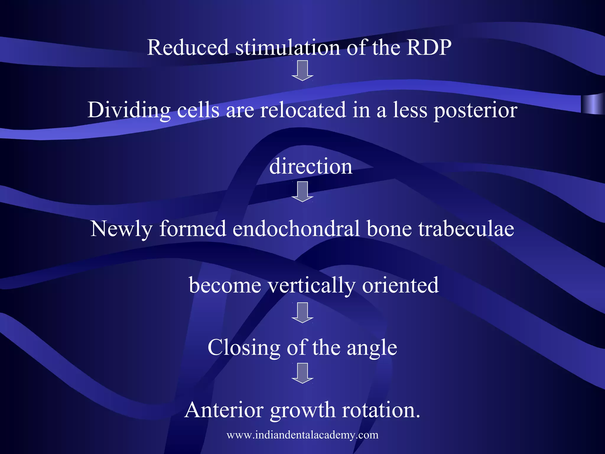 Reduced stimulation of the RDP
Dividing cells are relocated in a less posterior
direction
Newly formed endochondral bone trabeculae
become vertically oriented
Closing of the angle
Anterior growth rotation.
www.indiandentalacademy.com

 