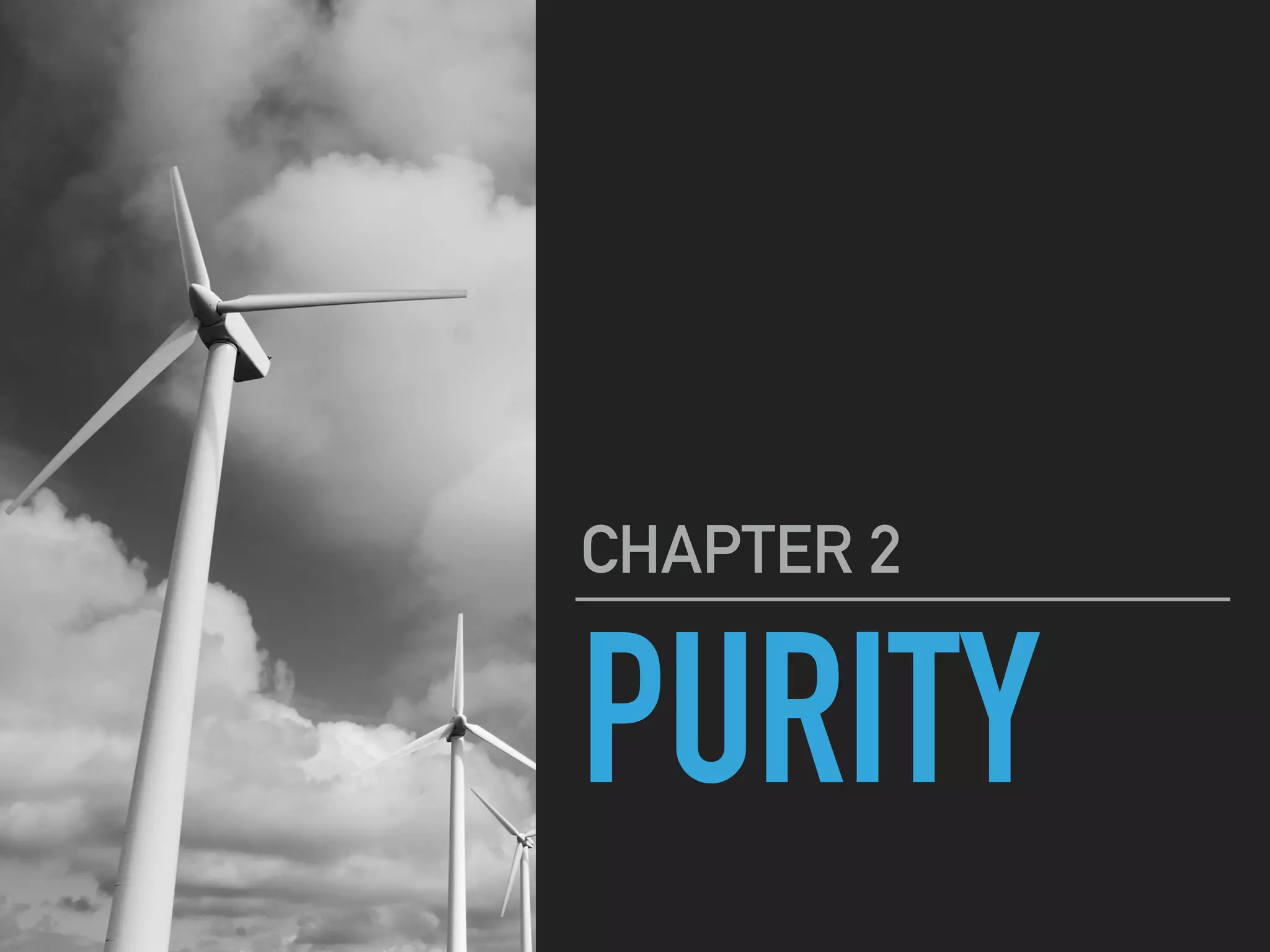 PURITY
CHAPTER 2
 