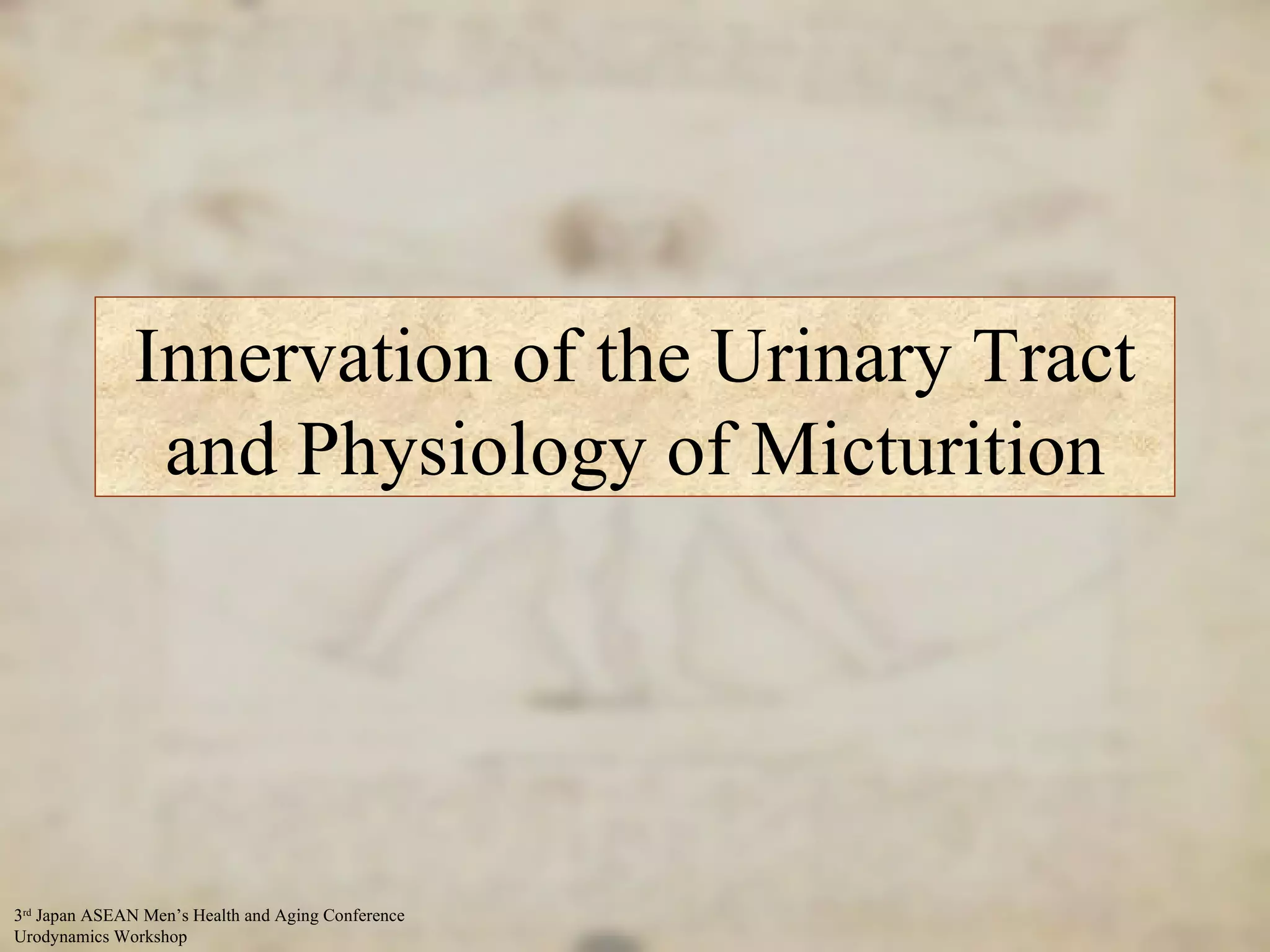Innervation of the Urinary Tract and Physiology of Micturition 