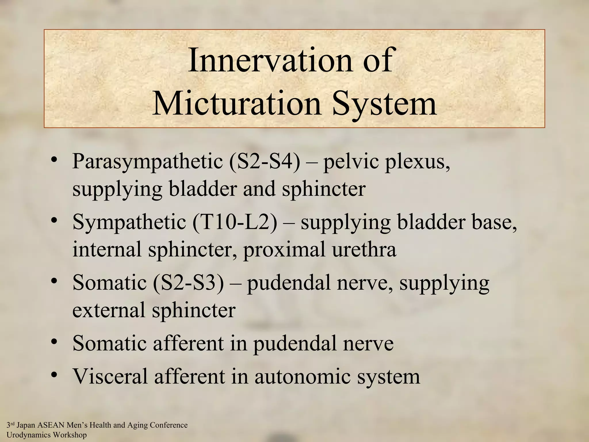 Innervation of  Micturation System Parasympathetic (S2-S4) – pelvic plexus, supplying bladder and sphincter Sympathetic (T10-L2) – supplying bladder base, internal sphincter, proximal urethra Somatic (S2-S3) – pudendal nerve, supplying external sphincter Somatic afferent in pudendal nerve Visceral afferent in autonomic system 