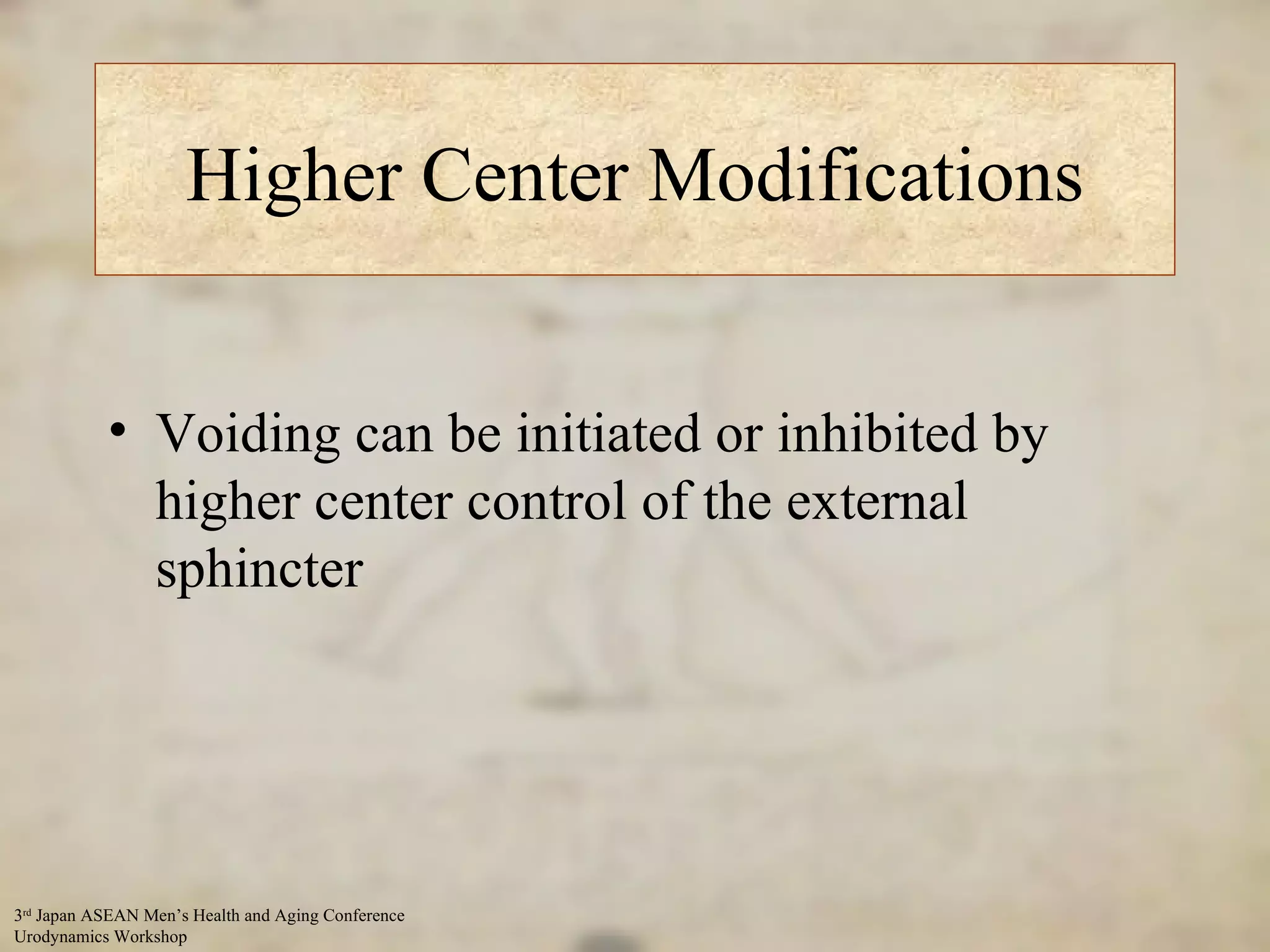 Higher Center Modifications Voiding can be initiated or inhibited by higher center control of the external sphincter 