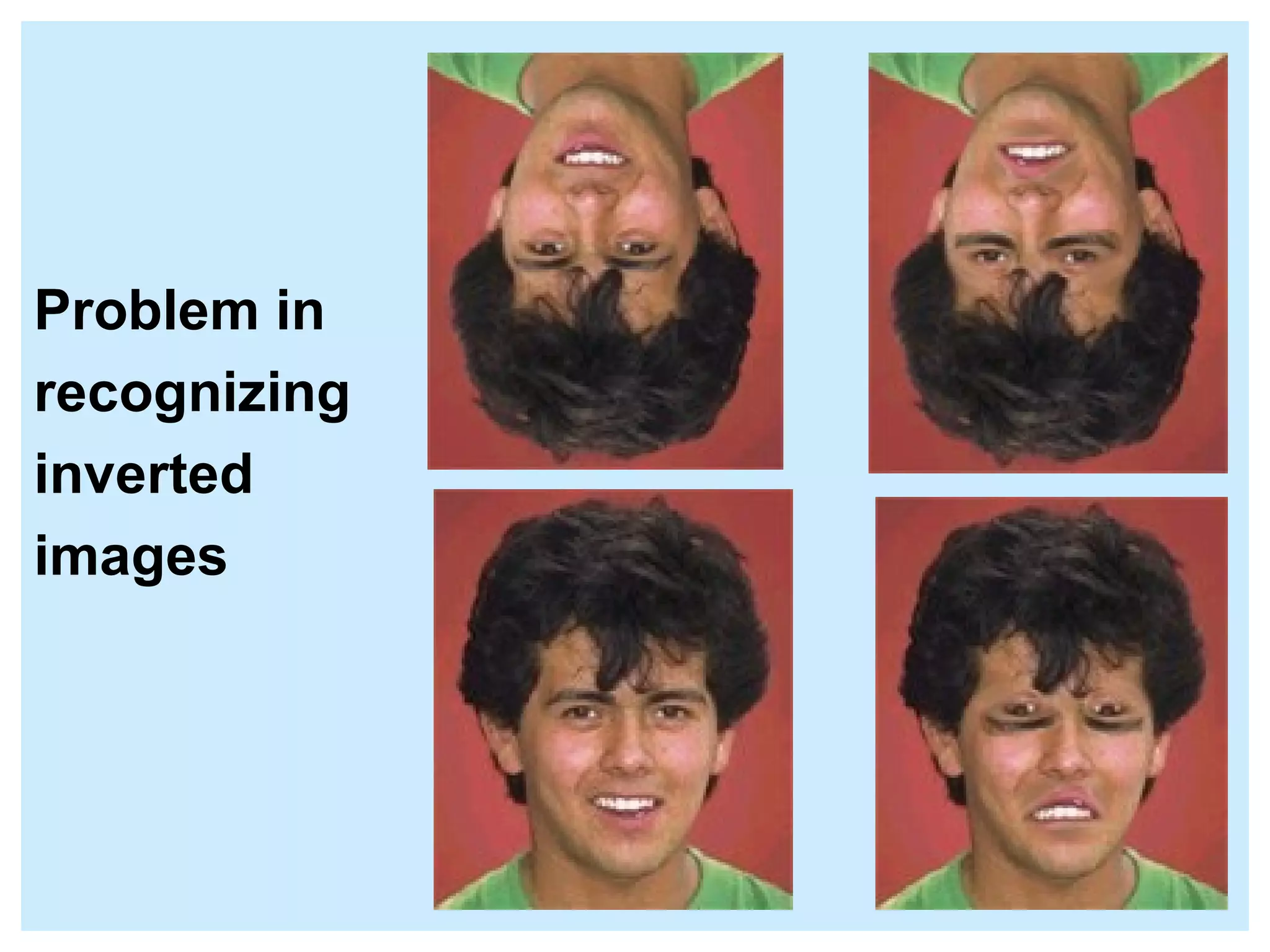 Problem in recognizing inverted images