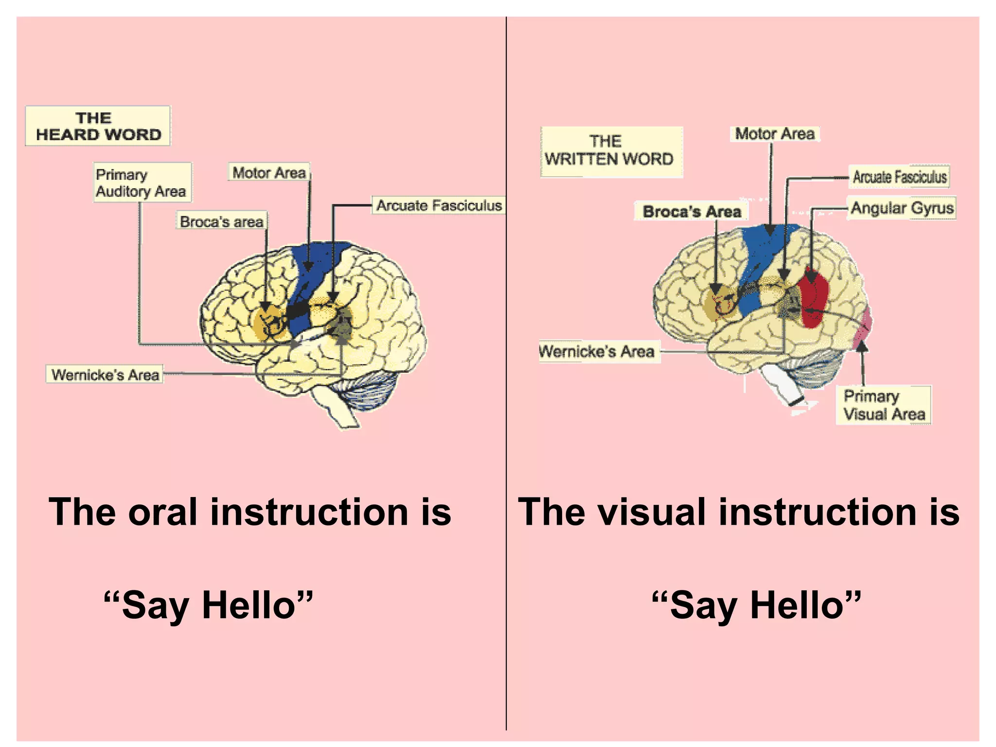 The oral instruction is The visual instruction is “ Say Hello” “Say Hello”