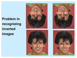 Problem in  recognizing inverted images 
