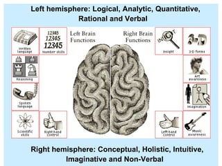 Left hemisphere: Logical, Analytic, Quantitative,  Rational and Verbal Right hemisphere: Conceptual, Holistic, Intuitive,  Imaginative and Non-Verbal 
