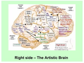 Right side – The Artistic Brain 