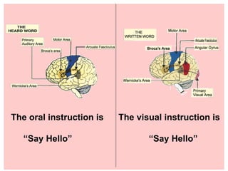 The oral instruction is  The visual instruction is  “ Say Hello”  “Say Hello” 